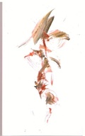 Cover: Speaking Animate - Station Hill Press,U.S.