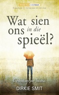 Cover: Wat sien ons in die spie&euml;l - Lux Verbi