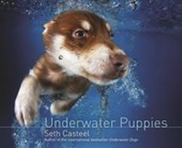 Abbildung von: Underwater Puppies - Headline Book Publishing