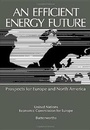 Cover: An Efficient Energy Future - Architectural Press