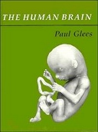 Enlarge image Cover: The Human Brain - Cambridge University Press