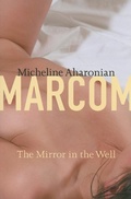 Cover: Mirror in the Well - Dalkey Archive Press