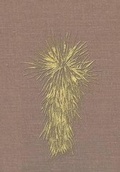 Cover: Marfa and Presidio County, Texas - Xlibris