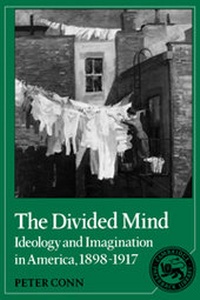 Enlarge image Cover: The Divided Mind - Cambridge University Press