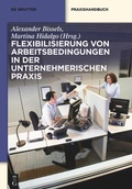 Cover: Flexibilisierung von Arbeitsbedingungen in der unternehmerischen Praxis - De Gruyter