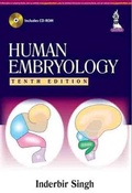 Bild: Human Embryology - Jaypee Brothers Medical Publishers