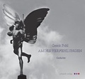 Cover: Amors Verfehlungen - Schardt, M