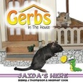 Cover: Gerbs in the House - Gerbil Meets Mouse Publishing