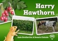 Cover: Harry Hawthorn - Kate Bretherton