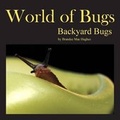 Cover: World of Bugs - Bula Bug