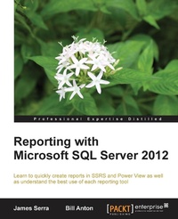 Abbildung von: Reporting with Microsoft SQL Server 2012 - Packt Publishing