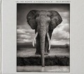 Cover: Nick Brandt - Distributed Art Publishers