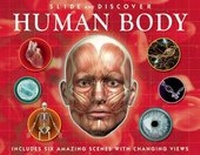 Enlarge image Cover: Slide and Discover: Human Body - Silver Dolphin Books