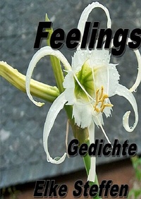 Enlarge image Cover: Feelings Gedichte - epubli