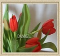 Cover: DANKE - epubli