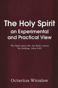 Bild: The Holy Spirit an Experimental and Practical View - Bottom of the Hill Publishing