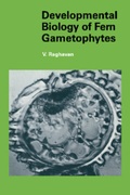 Cover: Developmental Biology of Fern Gametophytes - Cambridge University Press