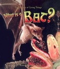 Cover: What Is a Bat? - Turtleback Books