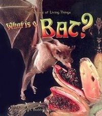 Enlarge image Cover: What Is a Bat? - Turtleback Books
