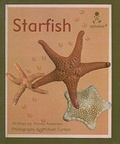 Cover: Starfish - Turtleback Books