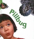 Cover: Pillbug - Turtleback Books