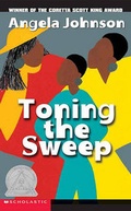 Cover: Toning the Sweep - Turtleback Books