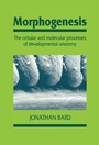 Cover: Morphogenesis - Cambridge University Press