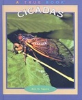 Cover: Cicadas - Turtleback Books