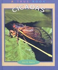 Enlarge image Cover: Cicadas - Turtleback Books