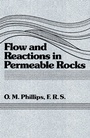Cover: Flow and Reactions in Permeable Rocks - Cambridge University Press