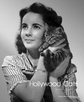 Cover: Hollywood Cats: Photographs from the John Kobal Foundation - ACC Art Books