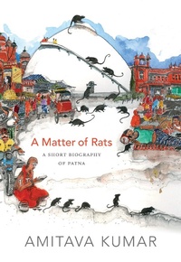 Enlarge image Cover: A Matter of Rats - De Gruyter