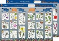 Enlarge image Cover: Guide to Dispersal of Fruits and Seeds - Gatekeeper Educational Limited