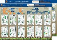 Enlarge image Cover: Guide to Common Grasses - Gatekeeper Educational Limited