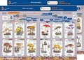 Cover: Guide to Common Fungi - Gatekeeper Educational Limited
