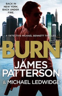 Enlarge image Cover: Burn - Century