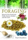 Cover: Foraging - Remember When