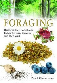 Enlarge image Cover: Foraging - Remember When