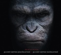 Cover: Planet der Affen: Von Prevolution zu Evolution - Cross Cult Entertainment
