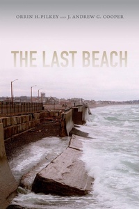 Enlarge image Cover: The Last Beach - Duke University Press