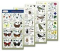 Cover: Habitat Gardens - Gatekeeper Educational Limited