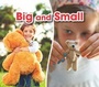 Cover: Big and Small - Raintree Publishers
