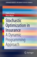 Cover: Stochastic Optimization in Insurance - Springer