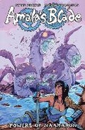 Cover: Amala's Blade: Powers Of Naamaron - Dark Horse Comics