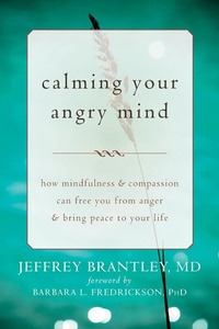 Enlarge image Cover: Calming Your Angry Mind - New Harbinger Publications