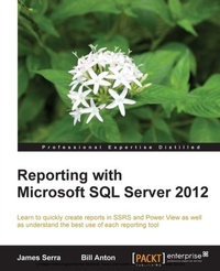 Abbildung von: Reporting with Microsoft SQL Server 2012 - Packt Publishing