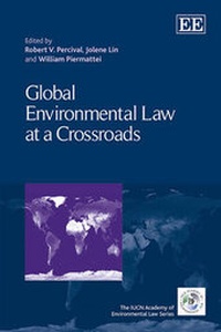 Abbildung von: Global Environmental Law at a Crossroads - Edward Elgar Publishing