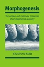 Cover: Morphogenesis - Cambridge University Press