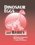 Cover: Dinosaur Eggs and Babies - Cambridge University Press