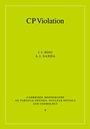 Cover: CP Violation - Cambridge University Press